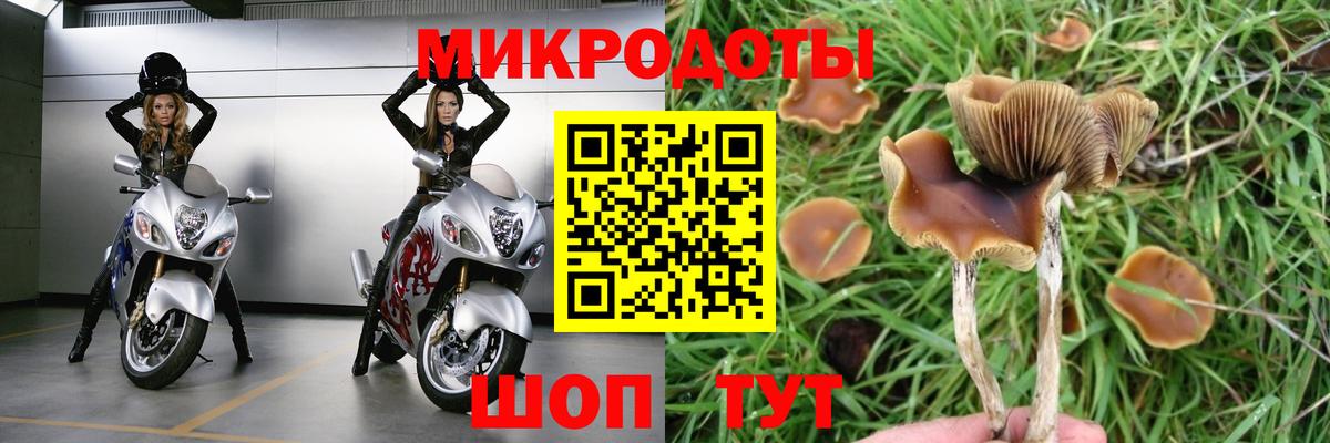 Галлюциногенные грибы прущие грибы  Псилоцибиновые грибы ЛСД  Вход с VPN  Коломна 