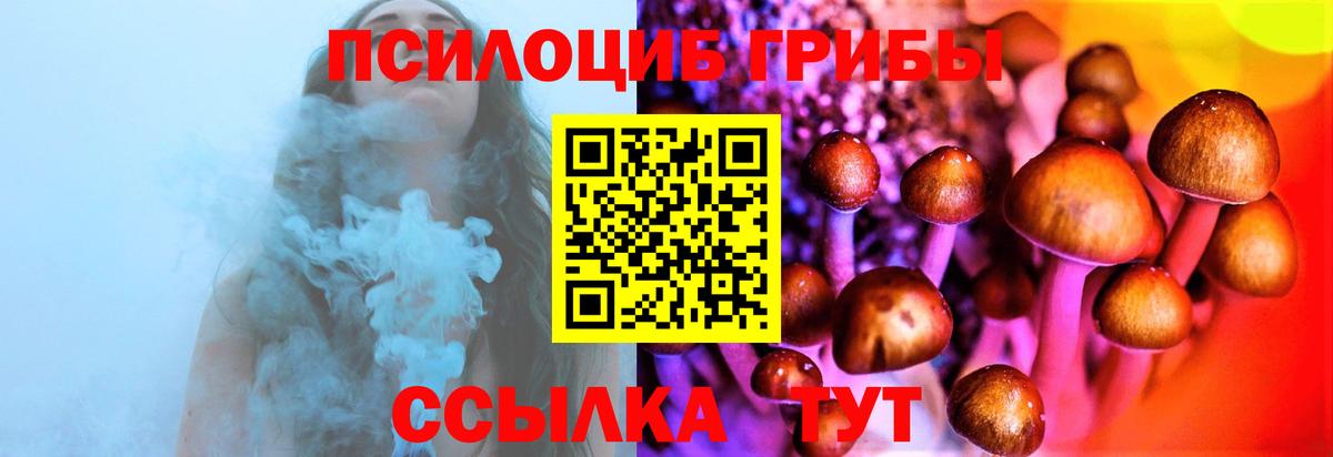 Псилоцибиновые грибы Cubensis Коломна